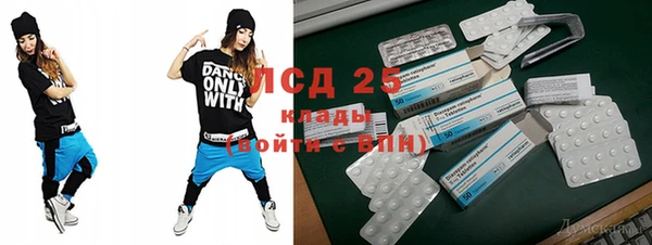 ГАЛЛЮЦИНОГЕННЫЕ ГРИБЫ Алзамай