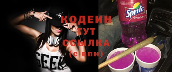 ГАЛЛЮЦИНОГЕННЫЕ ГРИБЫ Алзамай