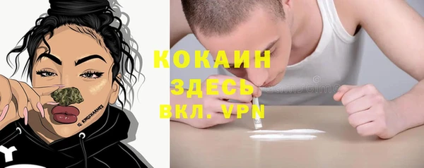 твердый Алексин