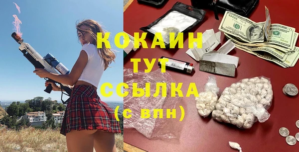 твердый Алексин